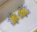 Elegant Princess Yellow CZ Earrings
